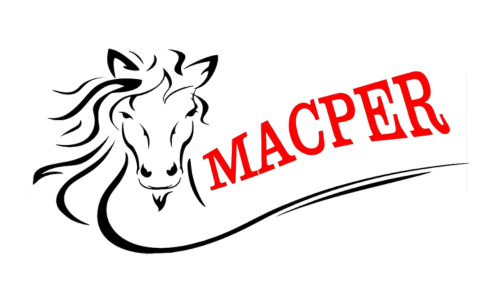 hosting web guadalajara